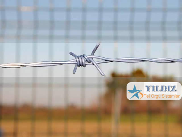 Ankara Dikenli Tel