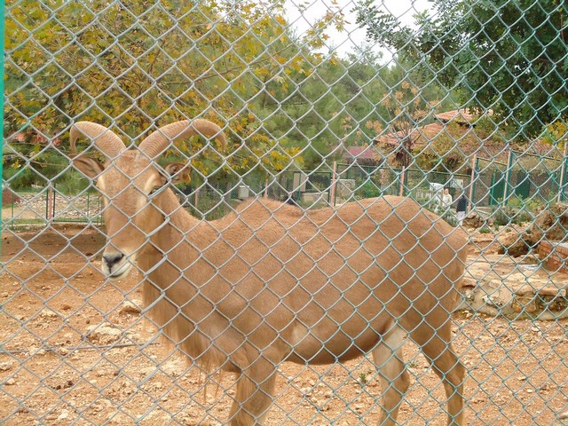 Yaptığımız İşler